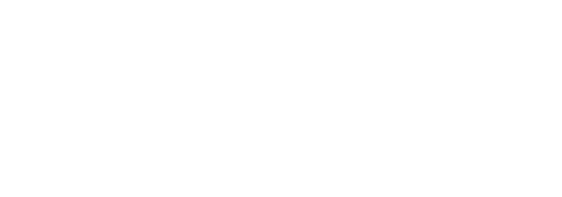 Fast Track Advance Logo